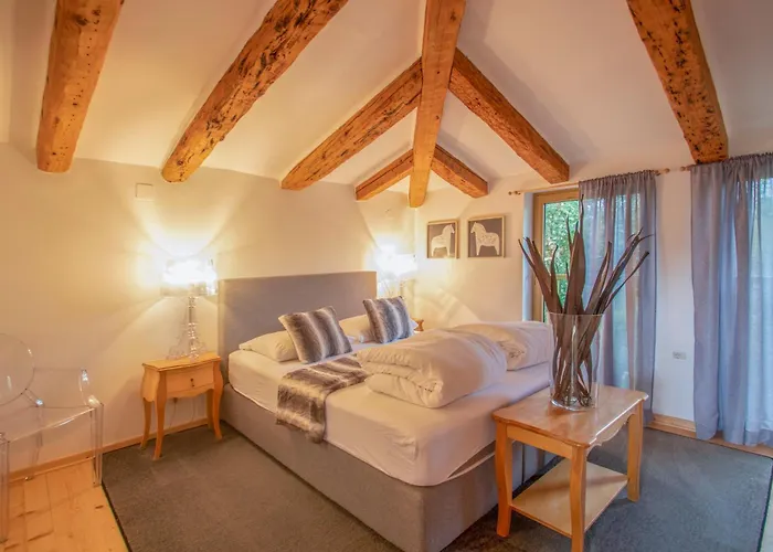 Apolonija Guest house