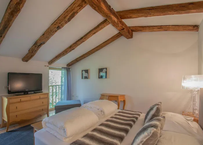 Guest house Apolonija 4*